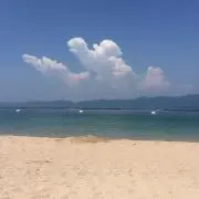 うみの画像