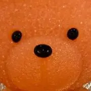 kinoco.プロフお読みくださいの画像