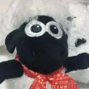 しょーんくん