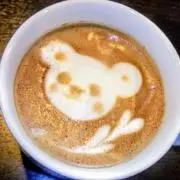 ぬこぬこの画像