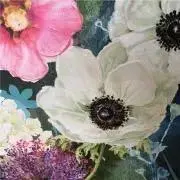 roseの画像