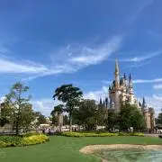 MaTsUの画像