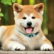 Kazuo^o^の画像