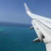pocoの画像