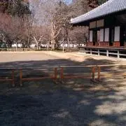 あおいの画像