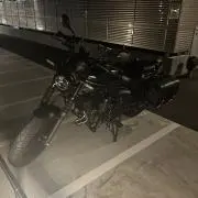 とらの画像