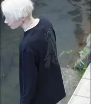 ALawInJapanの画像