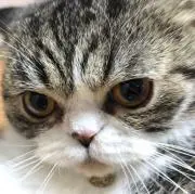 ぐら☆プロフ必読の画像