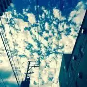 カエデの画像