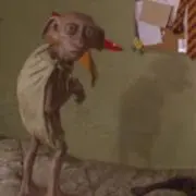 妖精