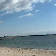 sunnyの画像