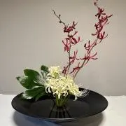 元気のけい