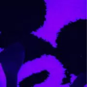 あちゃぴー
