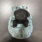 くぅちゃんの画像