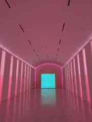 ちっちーの画像
