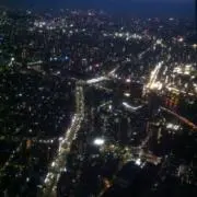 もみじの画像