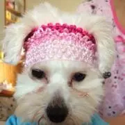 はなみこ
