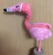 AKIの画像
