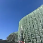 わかめ/即購入OKの画像