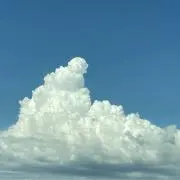 まれもなの画像
