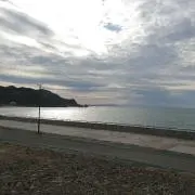 もちの画像