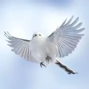 こしあんの画像