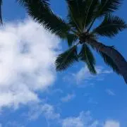 kkjの画像