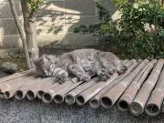 冬休みの画像