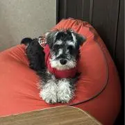 MNMの画像