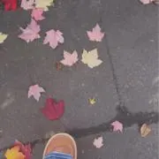 みみの画像