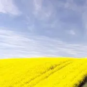 いーさん。即購入大歓迎です♪