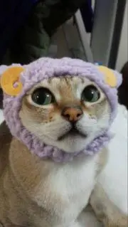 tuki-monaの画像