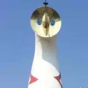 ムエタイ★ボンバーの画像