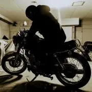アライのメットの画像