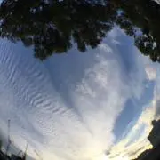 Miii⭐︎の画像