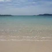 たあ坊の画像