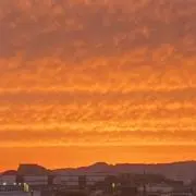 Rの画像