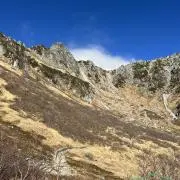 やっちんの画像