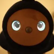 Shingoの画像