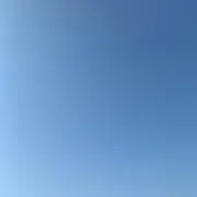 りんごの画像