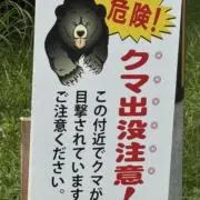 ＦＰの画像