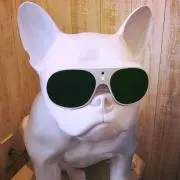Jの画像