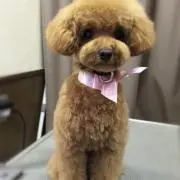 youhiro