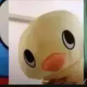 むらさき※プロフィール確認お願いしますの画像