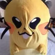 HINAの画像