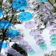 むーあの画像
