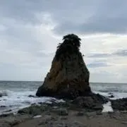 める｜即発送・即レスの画像