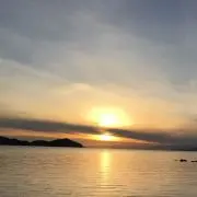 とんの画像
