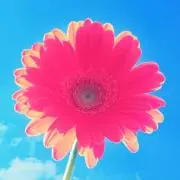 じゅんの画像