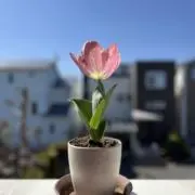 hrntの画像